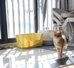 疯狂的主人猫砂盆超大号半封闭式特大号猫厕所防外溅大黄油猫沙猫屎盆猫用品 实拍图