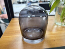 吕姆克花瓶玻璃摆件插花干花客厅书房摆件工艺品水培水养容器小号灰7771 实拍图