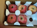 【东东农场专供】山东烟台红富士苹果脆甜多汁栖霞丑苹果 75mm+带箱5斤 实拍图