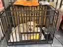 憨憨宠 狗笼 狗笼子中大型犬小型犬带厕所加粗加固金毛拉布拉多方管笼子 升级六面全方管110*75*90cm 90斤内适用 实拍图