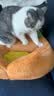 ZEZE橘子猫窝四季通用宠物床猫屋猫窝泰迪狗窝冬天保暖宠物用品 实拍图