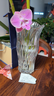 墨斗鱼花瓶轻奢玻璃高22cm大口径透明摆件郁金香富贵竹培容器三八节礼物 实拍图