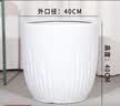 田园花木特大号陶瓷花盆大口径家用客厅落地发财树龟背竹专用白色几何花瓶 低腰白锥形特大号+托盘 实拍图
