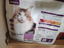 网易严选全价猫粮冻干鲜鸡肉无谷全价冻干双拼猫粮3.0升级500g试用装 实拍图