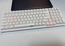 RK98机械键盘无线2.4G有线蓝牙三模键盘笔记本家用办公台式机游戏键盘100键98配列RGB背光白色红轴 实拍图