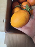 土八鲜湖北秭归伦晚脐橙纽荷尔鲜橙新鲜水果手剥甜橙礼盒 奋进橙9-10斤【单果150g+】 晒单实拍图