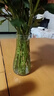 透明玻璃深海花瓶ins风植物干花插花水培大容器台面装饰客厅摆件 水波纹玻璃花瓶(17*4.5*8) 1个装 实拍图