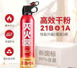 火焰战士 灭火器车载家车用干粉灭火器便携新能源消防器材1A21B增强型610G 实拍图