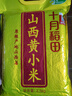 十月稻田 山西黄小米 5斤 25年新米 小米杂粮 五谷杂粮早餐粥米 节日送礼 实拍图
