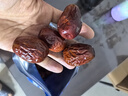 楼兰蜜语六星一级和田大红枣500g*2免洗即食骏枣滋补新疆特产零食节日送礼 实拍图