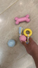HELLOJOY狗狗玩具球小狗磨牙棒骨头耐咬狗咬胶小型犬宠物用品幼犬自嗨解闷 实拍图