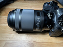 尼康（Nikon）Z MC 105mm f/2.8 VR S 全画幅微单镜头 中长焦微距镜头 人像/静物/微距 实拍图