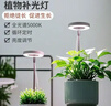 植物补光灯全光谱LED植物生长灯防太阳多肉补光灯种植6W定时调光 白色-太阳光（植物生长）+底座 可调节-高68CM 实拍图