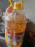 鲁花 食用油 物理压榨 葵花仁油6.18L  实拍图
