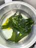 大连盐渍裙带菜 鲜海带非干货海带嫩苗儿童海菜海白菜海藻菜凉拌 裙带菜嫩叶250g 实拍图