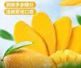 芒果干原切果脯办公室休闲零食酸甜果脯蜜饯精选 l净含量 芒果干250g*1袋 实拍图