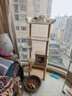 珑小宠猫爬架猫窝加粗大型猫树一体太空舱猫架子小户型不占地麻绳猫玩具 160cm 7层 【新款大太空舱Y36】 实拍图
