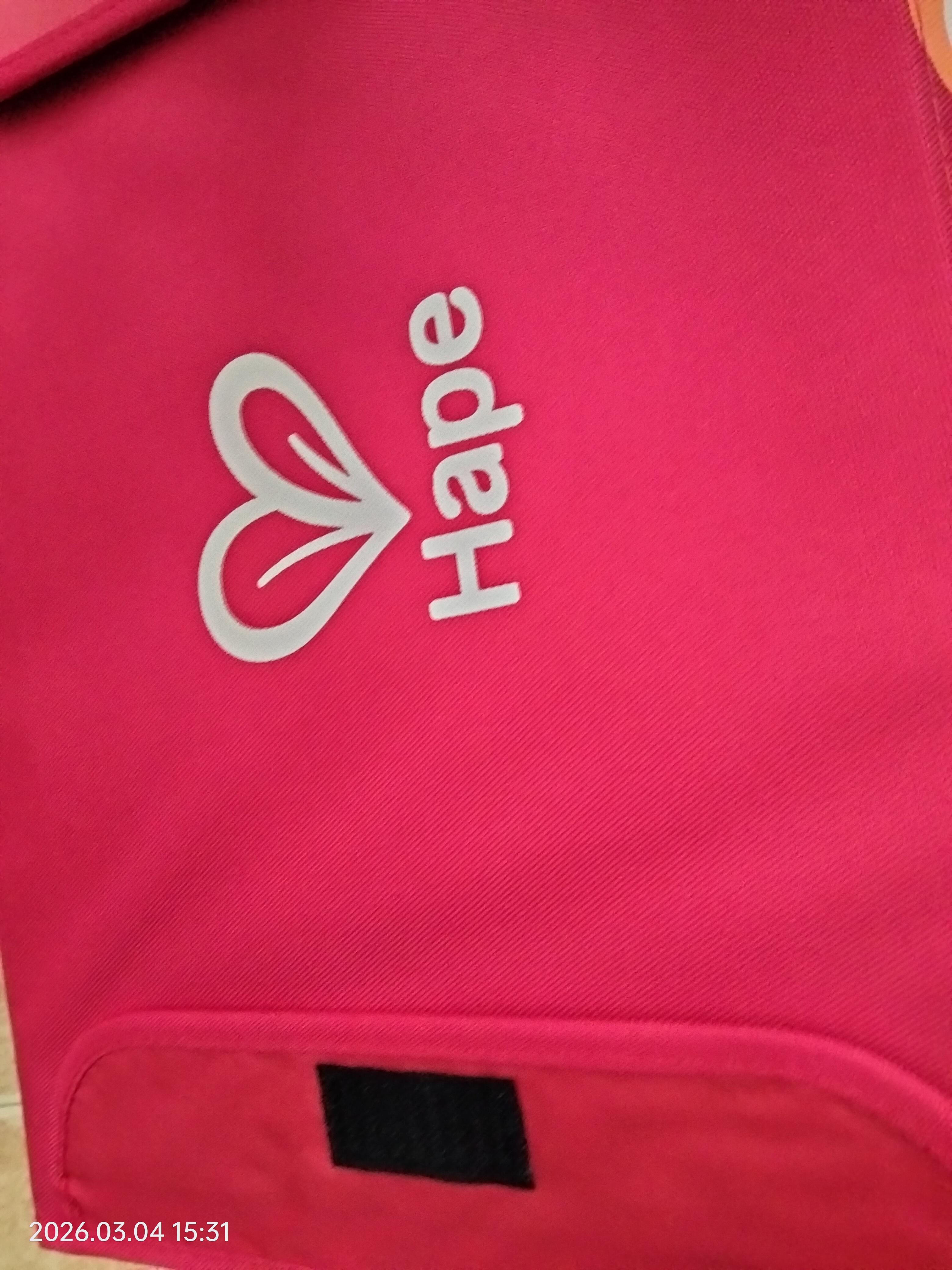 Hape(德国) 狮子收纳箱男孩玩具女孩生日节日礼物 E9329 实拍图