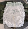 babycare金山茶花拉拉裤XL34片(12-17kg)婴儿尿不湿超薄透气新生柔花苞裤 实拍图