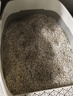 pidan混合猫砂 豆腐膨润土木薯60%:30%:10%混合2.4kg*4包自营猫砂 实拍图