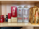泸州老窖 国窖1573 浓香型 白酒 52度50ml*2瓶 礼盒装 (防伪查询随机附带) 实拍图