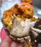 【活蟹】漁家师傅优选大闸蟹六月黄2.5-2.8两10只去绳足重 鲜活螃蟹生鲜礼盒 源头直发 实拍图