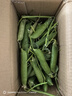新鲜豌豆四川带壳青豆角水果甜豆荚农家蔬菜 新鲜青豌豆荚净重1斤 实拍图