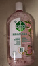 滴露（Dettol）香氛自然衣物消毒液48H留香洗衣除臭儿童可用消毒水杀菌除螨1L*2 实拍图