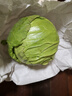 山东寿光新鲜青甘蓝卷心菜新鲜包菜青绿卷心菜手撕包菜爆炒 寿光甘蓝2斤（净重1.8斤） 实拍图