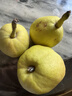 京鲜生 新疆库尔勒香梨 净重10斤 一级 单果100-120g 生鲜水果 实拍图