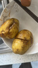 应季新土豆约500g 实拍图