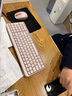 罗技（Logitech）MK251无线蓝牙键盘鼠标套装 办公商务笔记本电脑 数字键盘99键粉色键鼠套装（K251键盘+M196鼠标） 实拍图