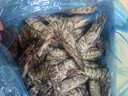 鲜京采 鲜冻大号黑虎虾 去冰净重2斤 31-40只/盒 斑节对虾 轻食减脂 实拍图