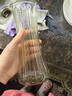 特大号轻奢创意简约玻璃花瓶透明水养鲜花北欧ins风客厅插花摆件 【20高】透明太阳花 实拍图