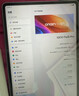 iQOO Pad5 Pro 8GB+256GB 银翼 国家补贴15% 13英寸游戏电竞大屏 蓝晶×天玑9400+ 平板电脑 vivo 实拍图