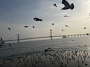 卡诗双重洗发水护发精油护发素试用旅行装净油清爽修护滋养柔顺29ml 实拍图
