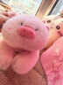 名创优品（MINISO）福莉丝猪系列趴姿公仔毛绒玩具玩偶抱枕娃娃生日礼物女 实拍图