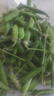 新鲜豌豆四川带壳青豆角水果甜豆荚农家蔬菜 新鲜青豌豆荚净重3斤 实拍图