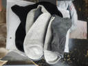 南极人男士袜子100%纯棉男袜6双抑菌无骨防臭休闲商务秋冬季中筒袜 实拍图