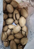 三只松鼠草本味碧根果500g/罐 坚果炒货干果手剥休闲零食送礼 实拍图