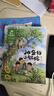 金波四季童话：花瓣儿鱼、神奇的小银蛇等 （注音美绘版 套装共4册） 儿童文学经典读物 课外阅读 课外书 一升二 小升初衔接 中国儿童文学大师的经典作品 低年级孩子的文学启蒙读本 文学经典读本 实拍图