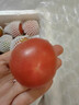 顺丰丹东草莓柿子5斤西红柿新鲜自然熟铁皮柿子碱地生吃水果番茄 5斤 超值装  顺丰 实拍图