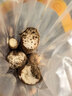 【东东买菜】正宗河北铁棍山药新鲜怀山药药食同源当季新鲜蔬菜 长度20cm-30cm2斤 带箱 实拍图