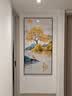 Sixpoetry 客厅装饰画现代简约沙发背景墙壁画轻奢三联晶瓷画大气高档挂画 福禄来财（铝合金外框） 晶瓷画左右60*80+中间120*80亮面 实拍图