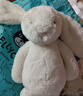 Jellycat害羞乳白色邦尼兔动物毛绒玩偶安抚玩偶娃娃送礼生日礼物 害羞乳白色邦尼兔 Medium 实拍图