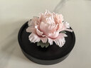 Para Ella永生花陶瓷牡丹生日礼物女伴手礼母亲情人节38三八妇女神节退休 实拍图