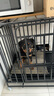 憨憨宠 狗笼 狗笼子中大型犬小型犬带厕所加粗加固金毛拉布拉多方管笼子 升级六面全方管94*64*85cm 65斤内适用 实拍图