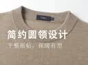 杉杉【重磅100%山羊绒】针织衫冬季圆领不掉色抗起球软糯亲肤毛衣男 实拍图