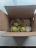 京鲜生 新疆库尔勒香梨 净重4.5斤 单果140g+ 生鲜水果 实拍图