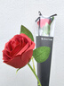 初朵单支玫瑰花永生香皂花束同城配送伴手生日礼物三八妇女神节非鲜花 实拍图